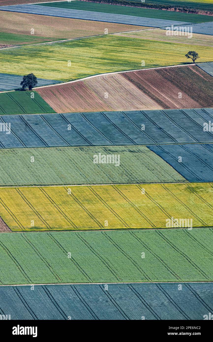 Landwirtschaftsfelder am Fuße der Schwäbischen Alb, Getreidefelder, Ochsenwang, Bissingen an der Teck, Baden-Württemberg, Deutschland Stockfoto
