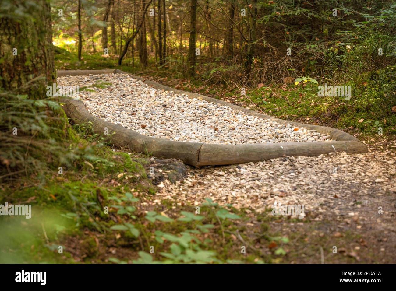 Barefoot Park im Wald, Schoemberg, Schwarzwald, Deutschland Stockfoto