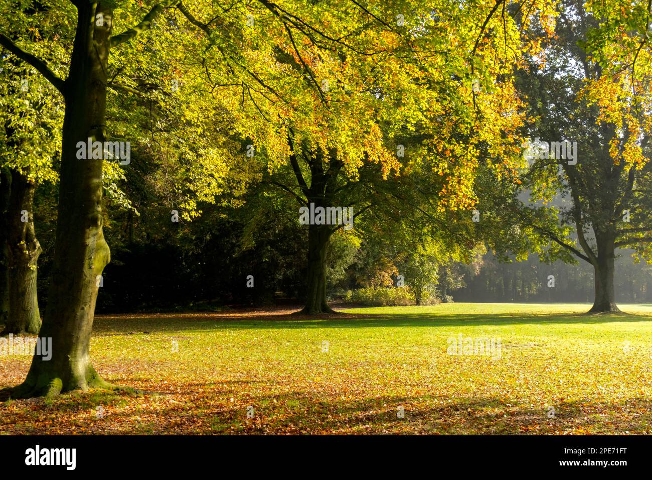 Im Schlosspark Ahaus Stockfoto