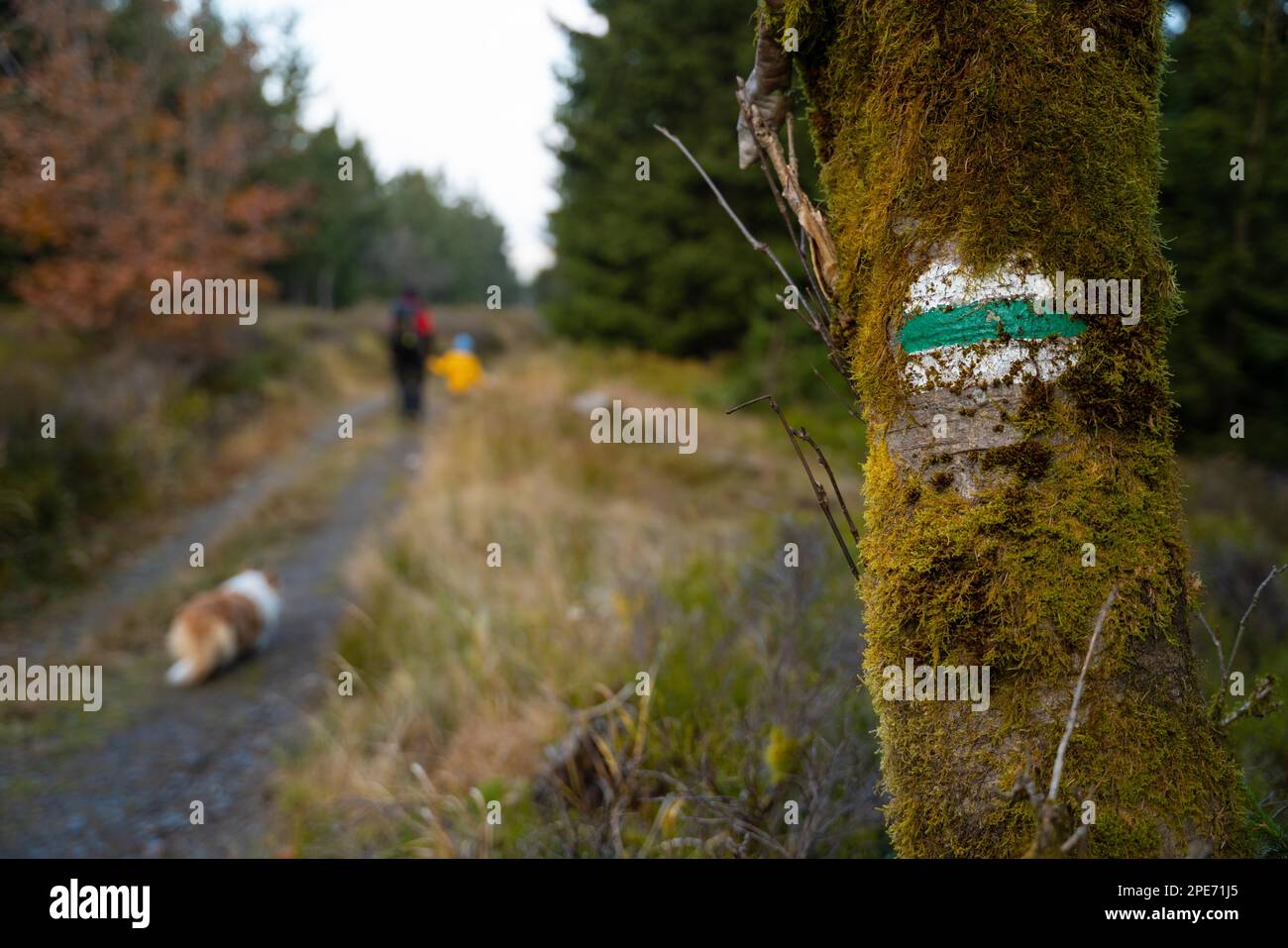Bezeichnung für Touristenpfade. Menschen mit einem Hund im Hintergrund. Polnische Berge Stockfoto