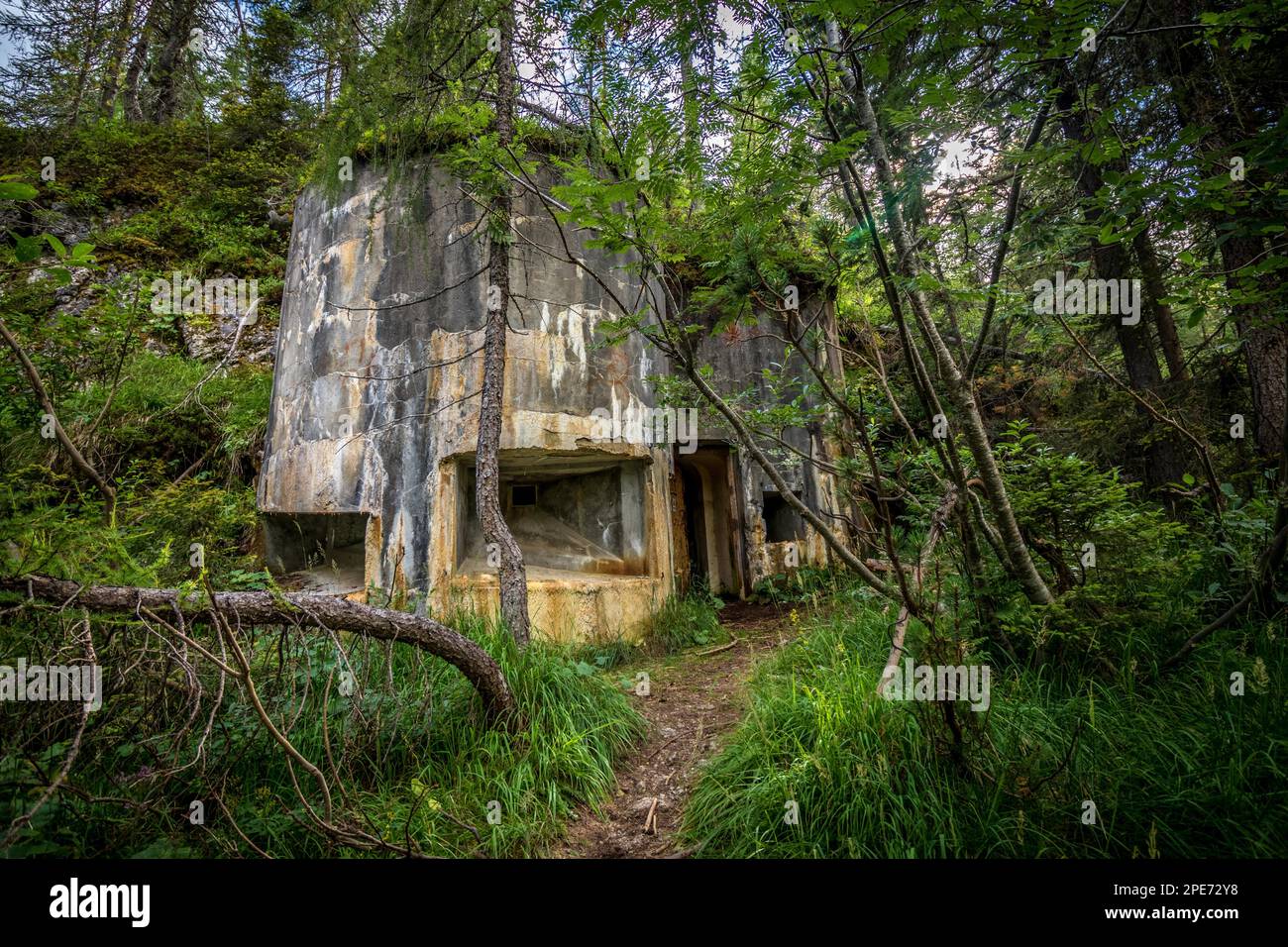 Verlassener Betonbunker mit Embrasur im Sommerwald. Eintritt zum Bunker. Dolomiten, Italien, Dolomiten, Italien, Europa Stockfoto