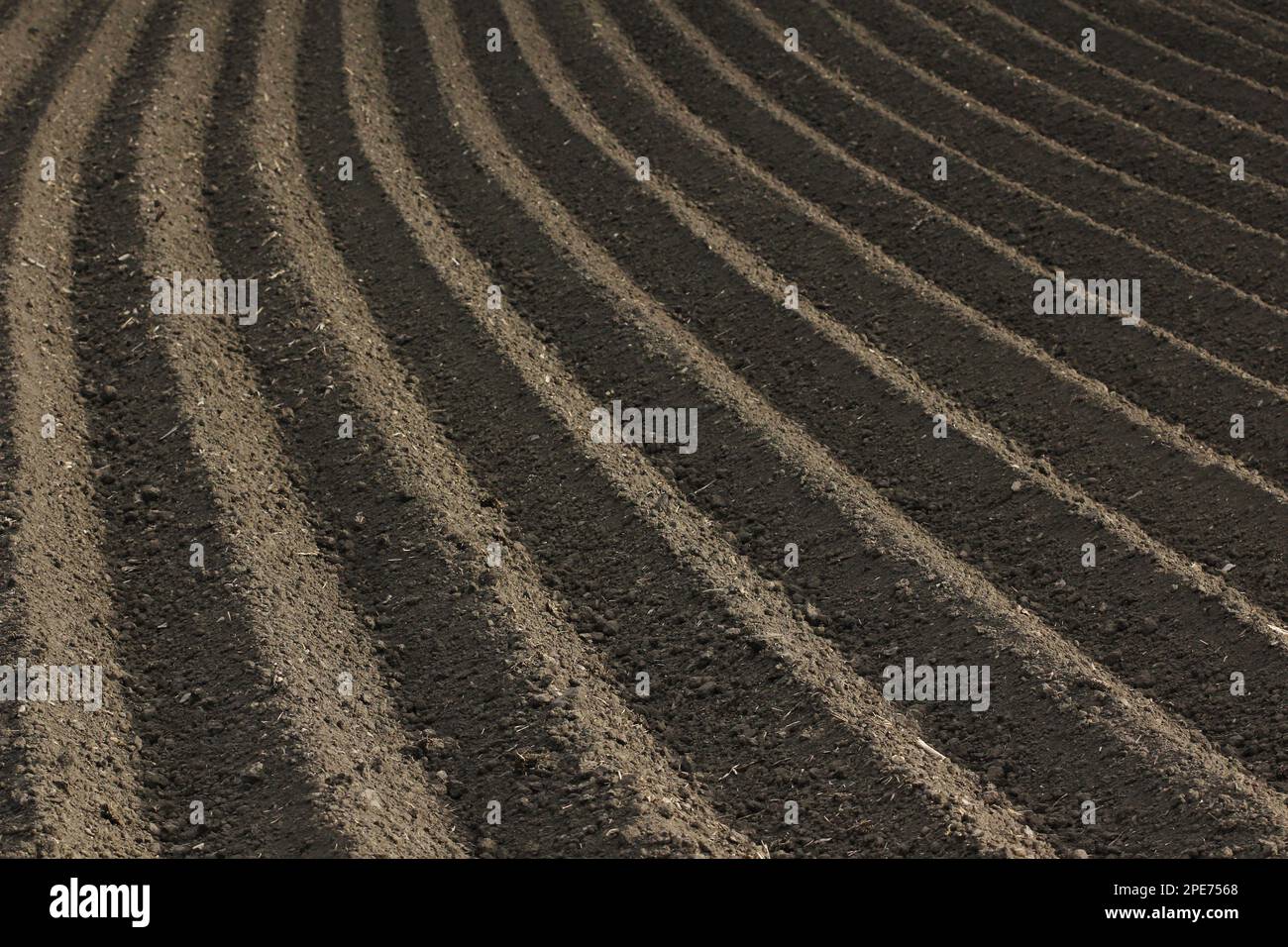 Frisch gepflügter fruchtbarer Boden als Grundlage für einen funktionellen landwirtschaftlichen Anbau Stockfoto