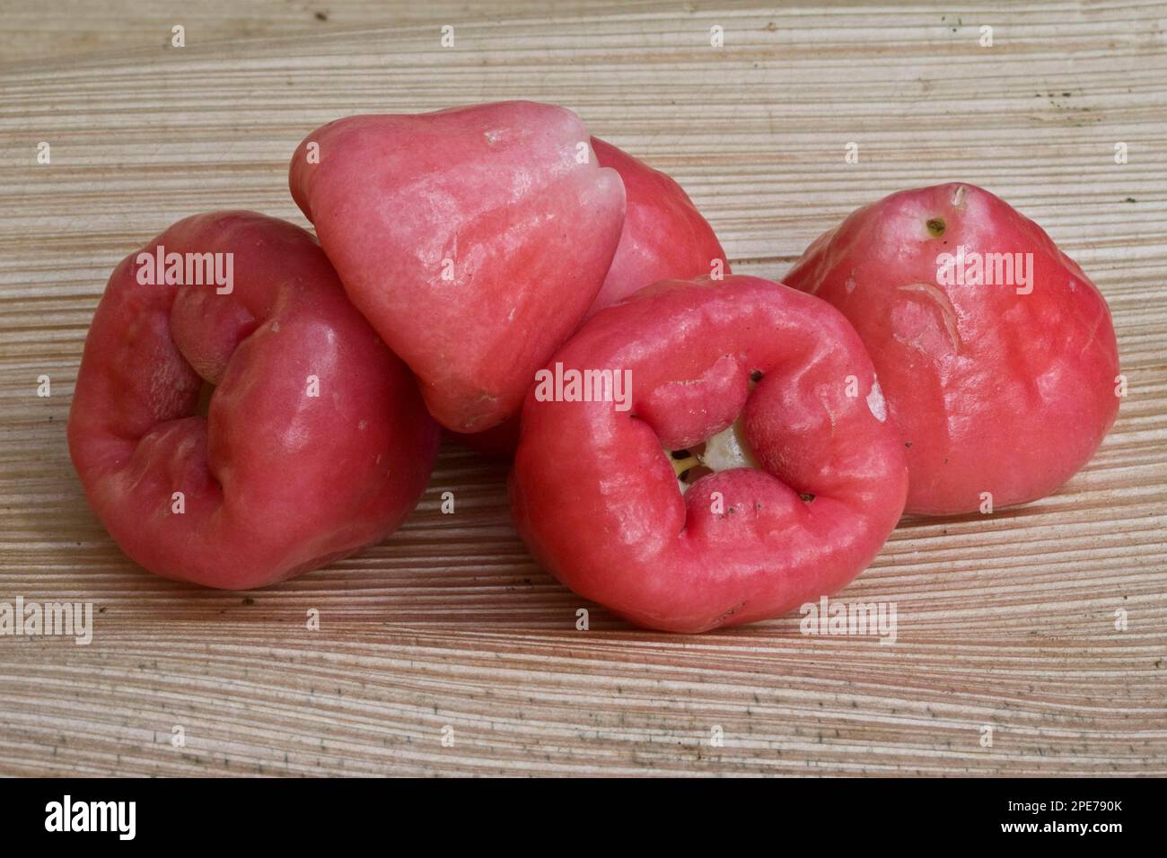 Apfelwachs (Syzygium samarangense), gepflückte Früchte, Palawan Island, Philippinen Stockfoto