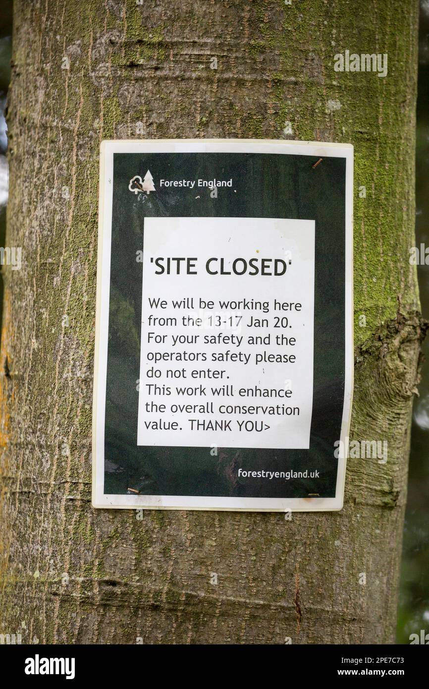 Forestry England UK isoliertes Schild am Baumstamm mit Hinweis auf „Standort geschlossen“ aufgrund von Naturschutzarbeiten in der Gegend. Stockfoto