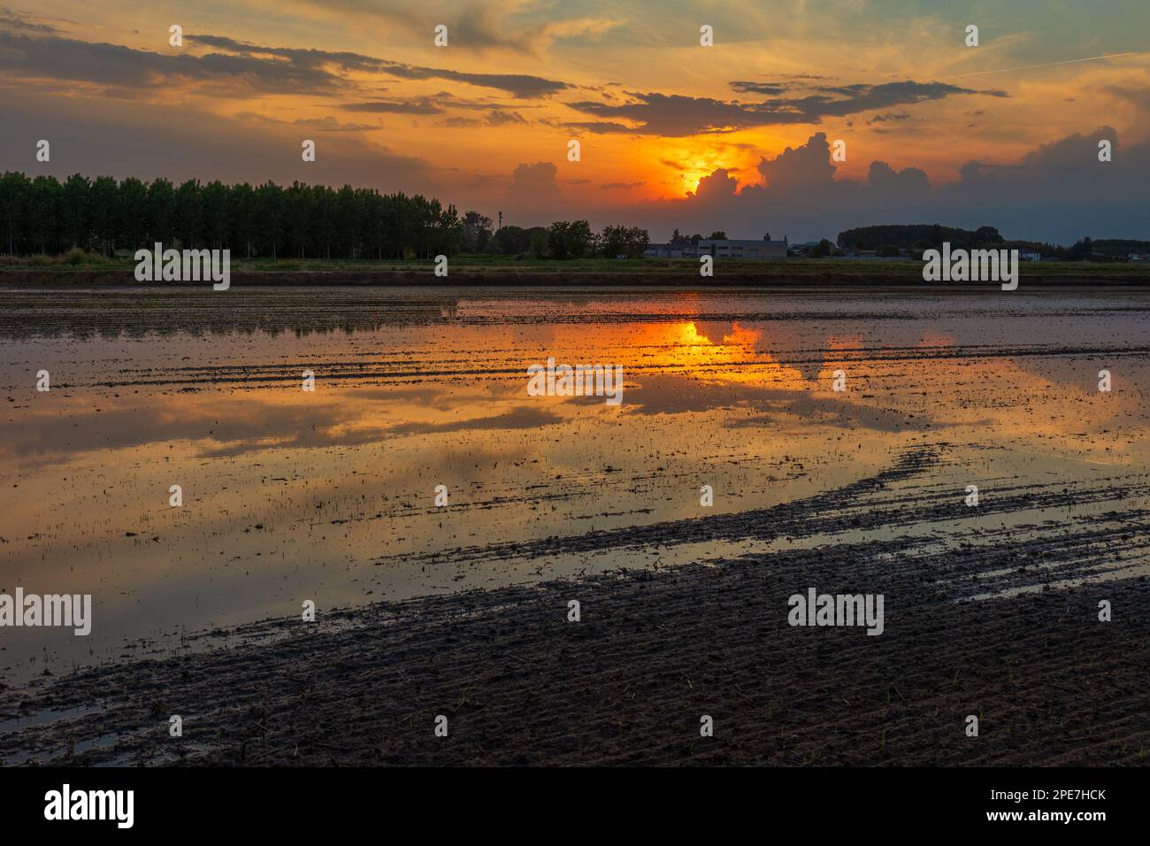 Tramonto nei campi di Borgolavezzaro in Piemont Stockfoto