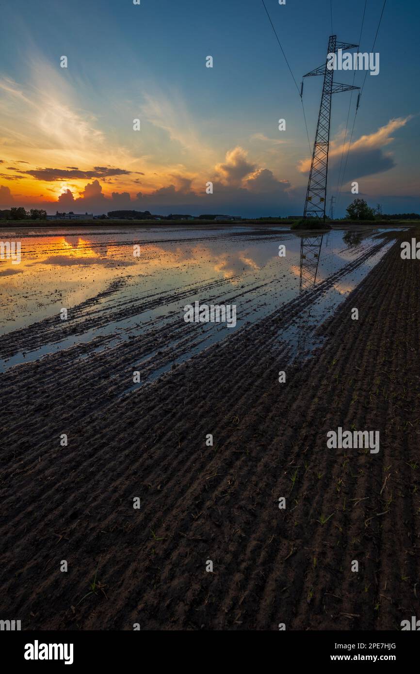 Tramonto nei campi di Borgolavezzaro in Piemont Stockfoto