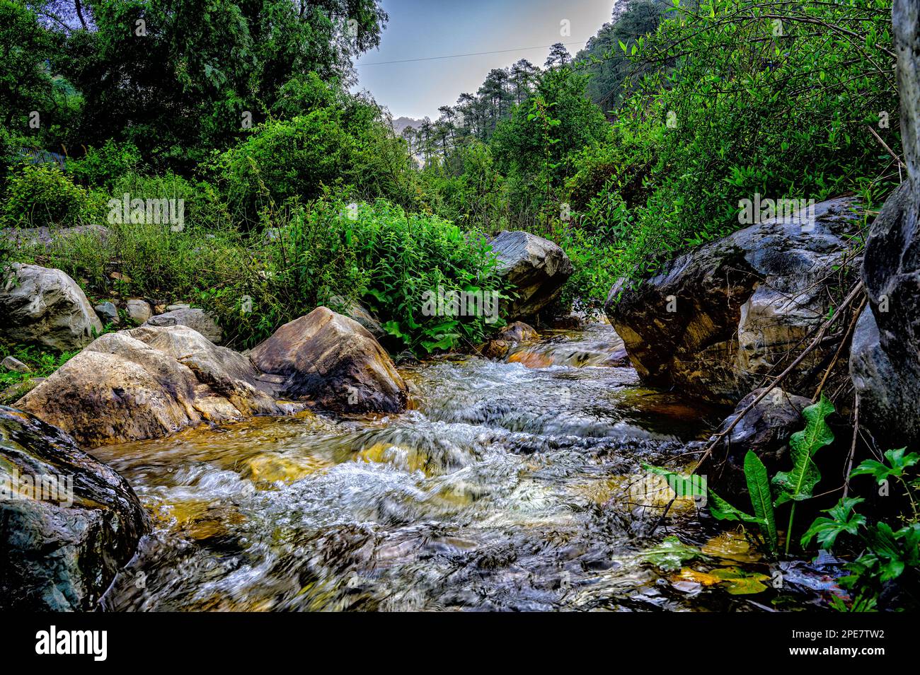 Kalwari Bach in der Nähe der Hütten für verlorene Fischereien im Himalaya Stockfoto