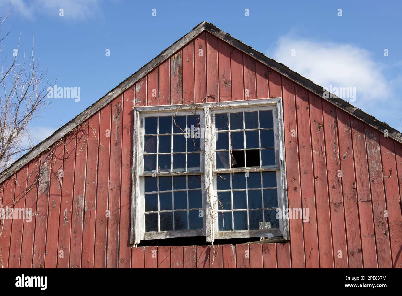 Verlassene, rote Scheune mit kaputten Fenstern. Das Gebäude ist weiß verziert und fällt auseinander. Die tote Liane klettert an der Seite hoch. Grunge-Konzept. Stockfoto