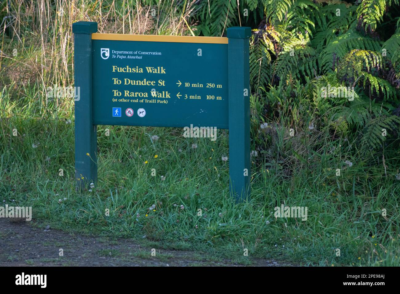 Ein Schild des Ministeriums für Naturschutz mit Wegbeschreibung zum Fuchsia und Raroa Walk auf Stewart Island, Aotearoa Neuseeland. Stockfoto