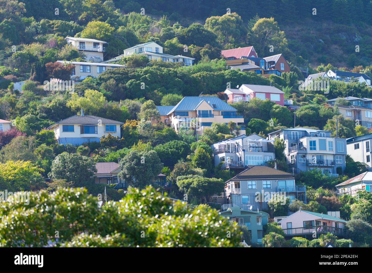 Farbenfrohe Häuser auf einem Hügel im späten Nachmittagslicht, Lyttelton Neuseeland Stockfoto
