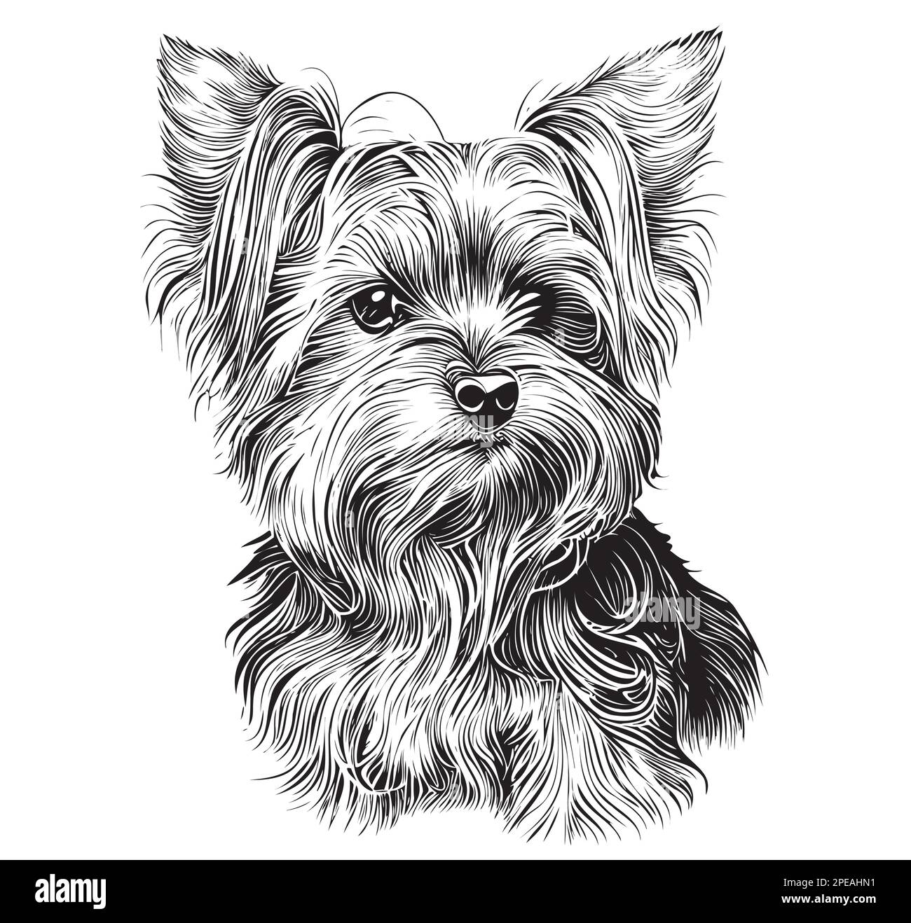 Yorkshire-Terrier-Hund, handgezeichnet Stock Vektor