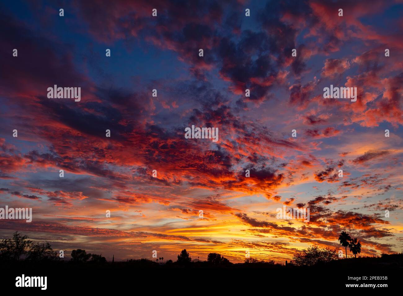 Arizona Sunset, Tucson Stockfoto