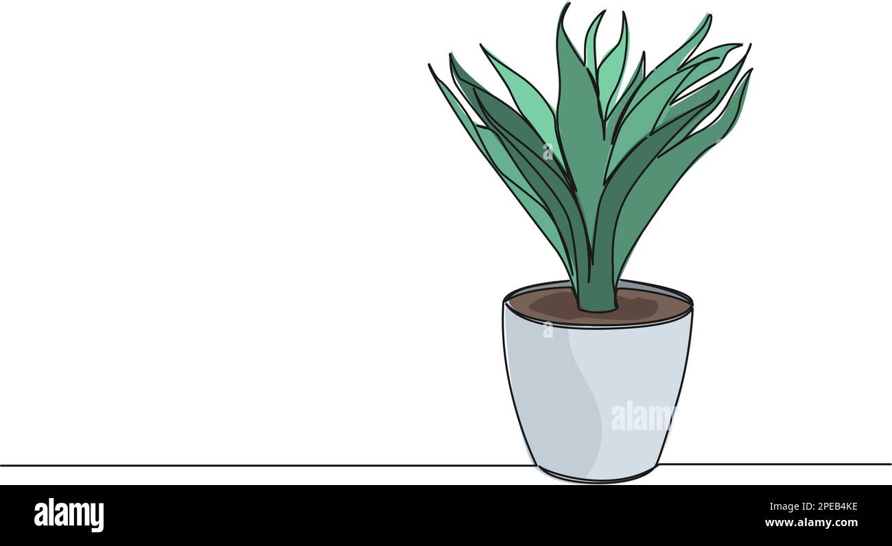 Farbige durchgehende einzeilige Zeichnung der Topfpflanze, Strichgrafiken-Vektordarstellung Stock Vektor