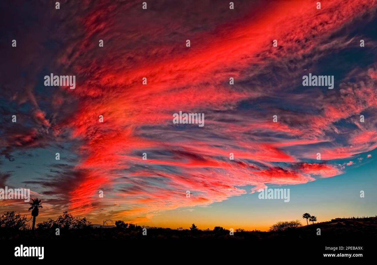 Sonnenuntergang, Tucson, AZ Stockfoto