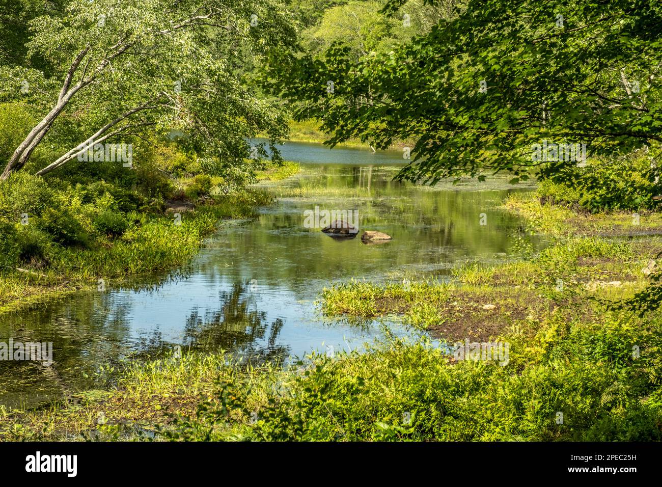 Der Tully River während der Dürre im Sommer 2022, Royalston, Massachusetts Stockfoto