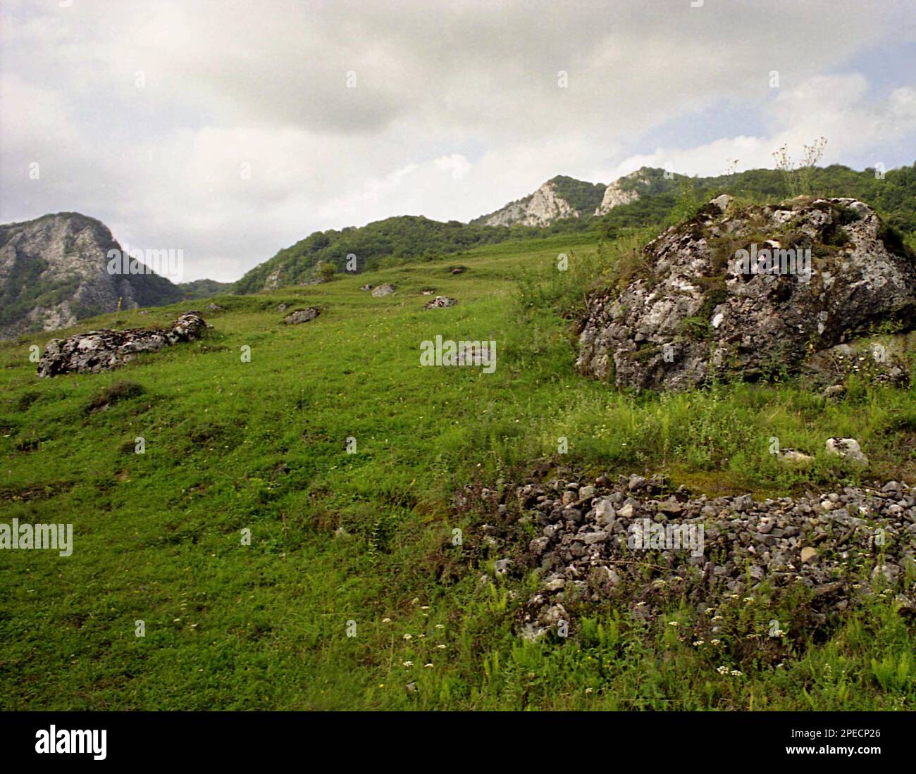 Landschaft im Trascaului-Gebirge, Rumänien, 2001 Stockfoto