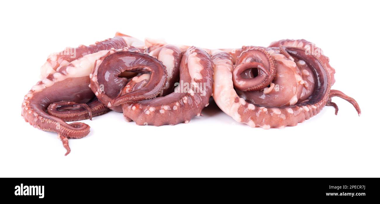 Tintenfischentakel isoliert auf weißem Hintergrund. Frischer roher Riesenkalmar Stockfoto
