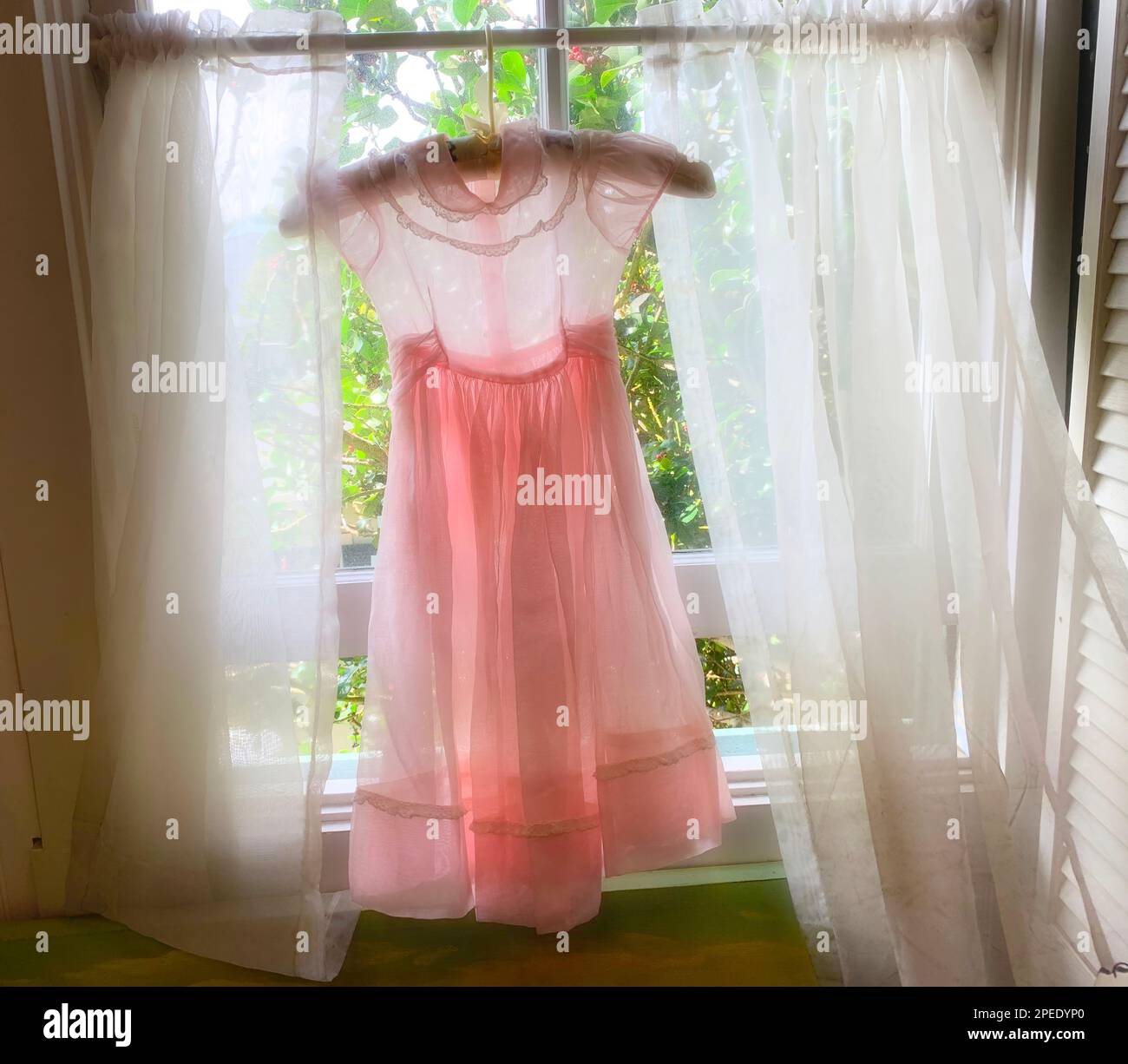Rosafarbenes Kleid Im Fenster Stockfoto