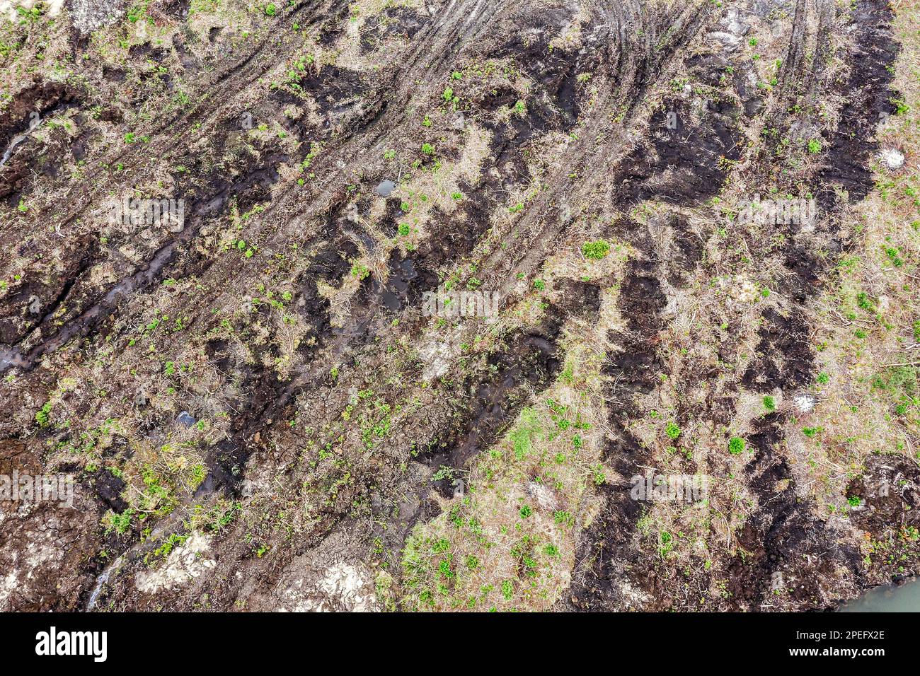 Sumpfiger Landhintergrund. Bodenverbesserung und -Rückgewinnung. Drohnenfotografie. Stockfoto