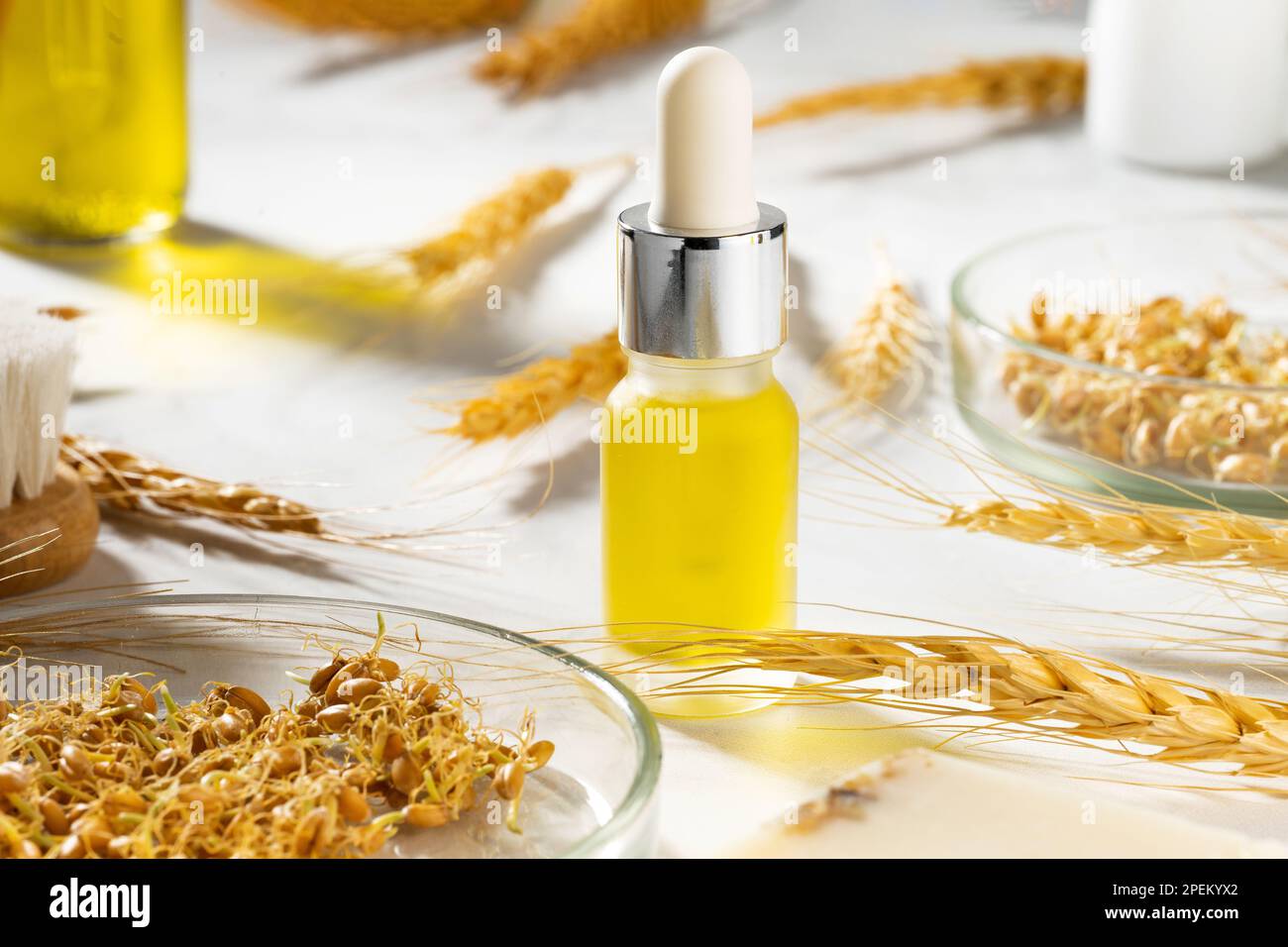 Eine konzeptionelle Zusammensetzung von ätherischem Weizenöl, einer Badebürste und Weizenkeimen auf einem Marmortisch. Eine Flasche Körperöl mit einem Tropfer. Weizenserumöl Stockfoto