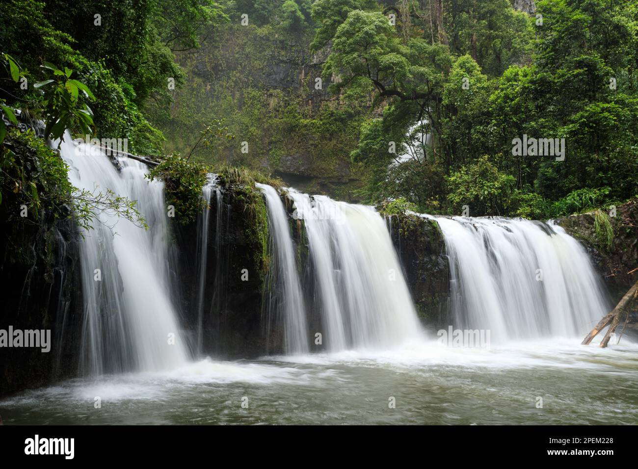 Nandroya Falls im Wooroonooran National Park, Queensland, Australien Stockfoto