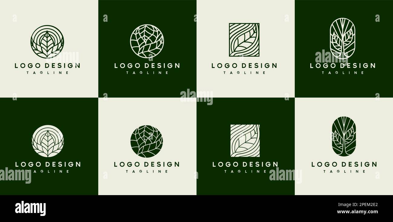 Luxuriöses Blatt- und Pflanzendesign. Linienmuster mit Blattlogo. Grünes Logo. Stock Vektor