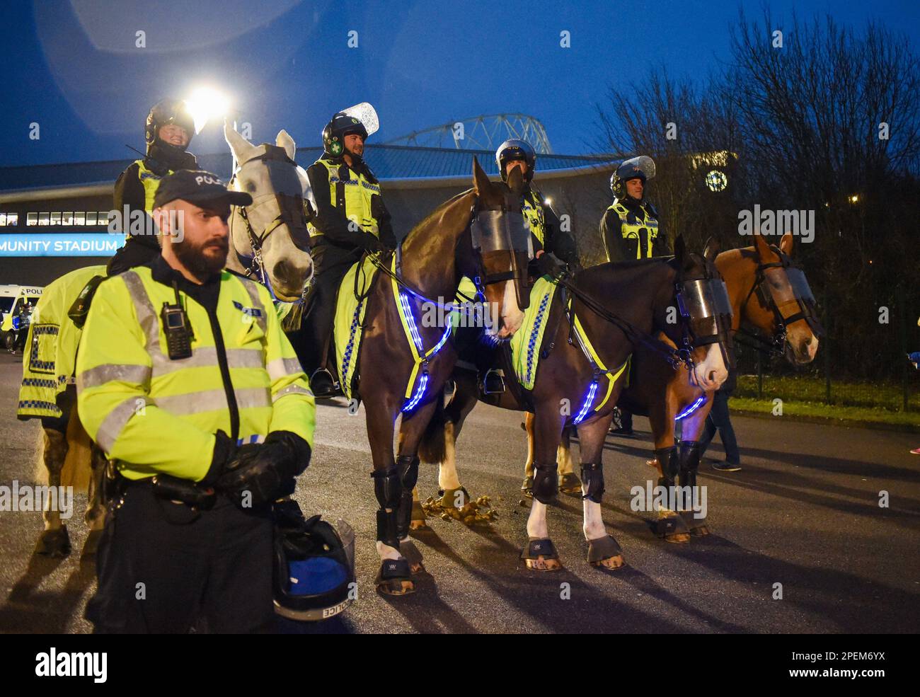 Polizeipferde tragen vor dem Spiel der Premier League zwischen Brighton & Hove Albion und Crystal Palace im American Express Community Stadium , Brighton , Großbritannien - 15. März 2023. Foto: Simon Dack/Teleobjektiv Stockfoto