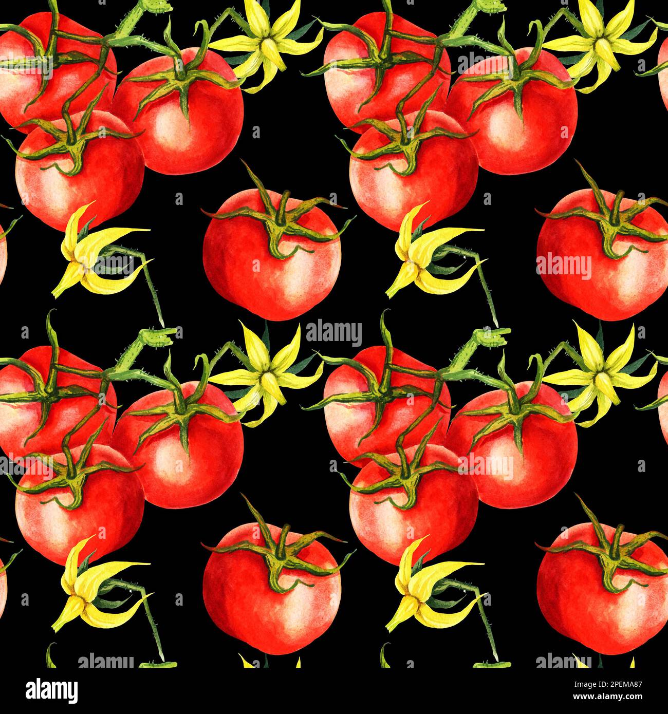 Aquarelle Tomaten, nahtloses Muster, Blumen, Brunches, handgezeichnete Illustration, Rote Gemüseskizze auf schwarzem Hintergrund Stockfoto