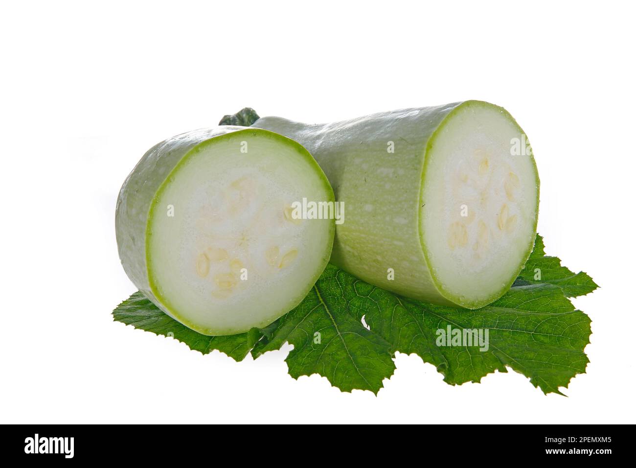 Frische Zucchini auf weißem Hintergrund, Nahaufnahmen Stockfoto