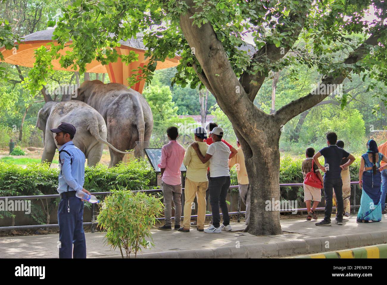 Besucher beobachten Tiere in einem Zoo Stockfoto