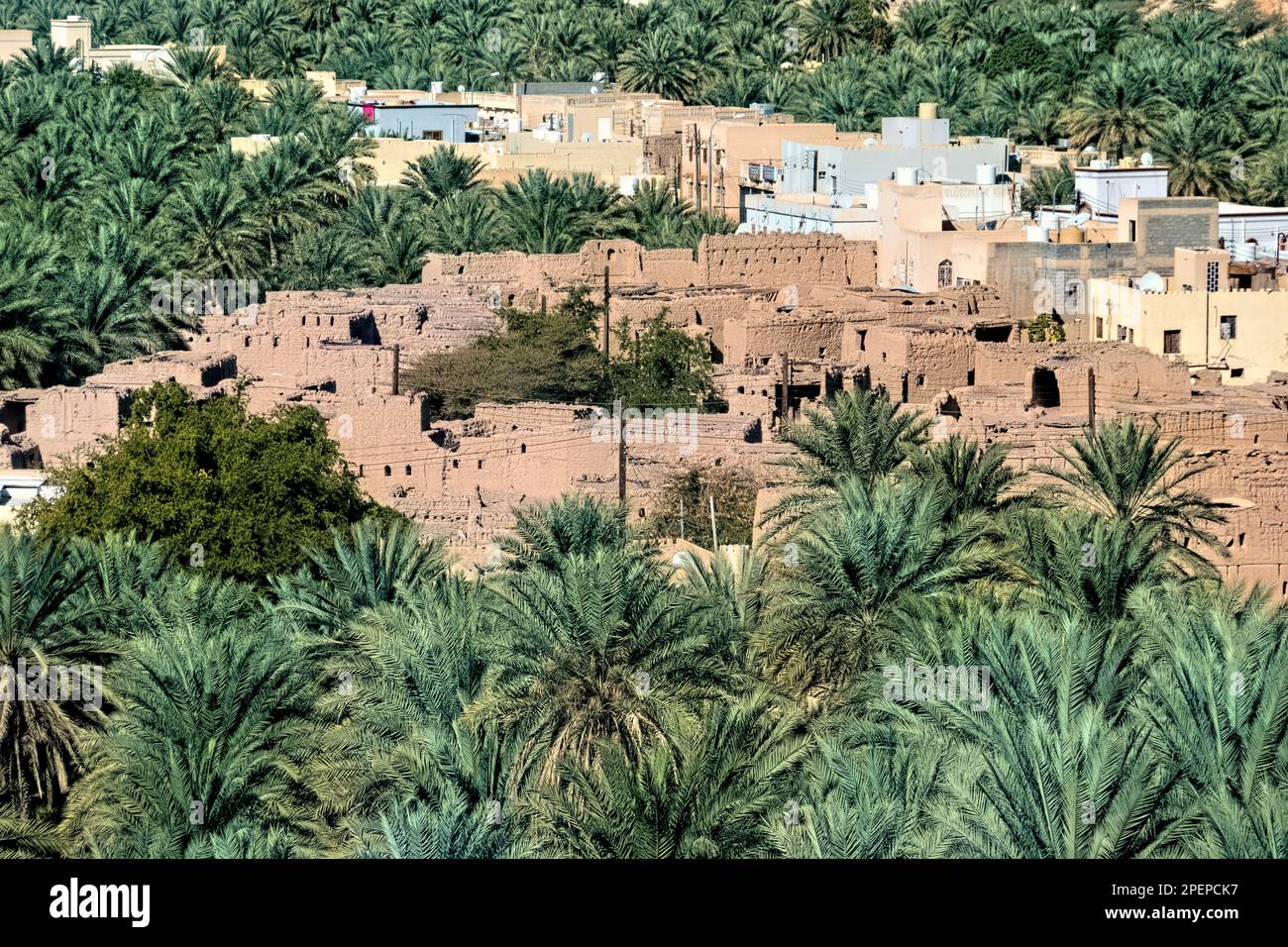Schlammziegelruinen und Dattelpalmen im Oasendorf Birkat al Mouz, Oman Stockfoto