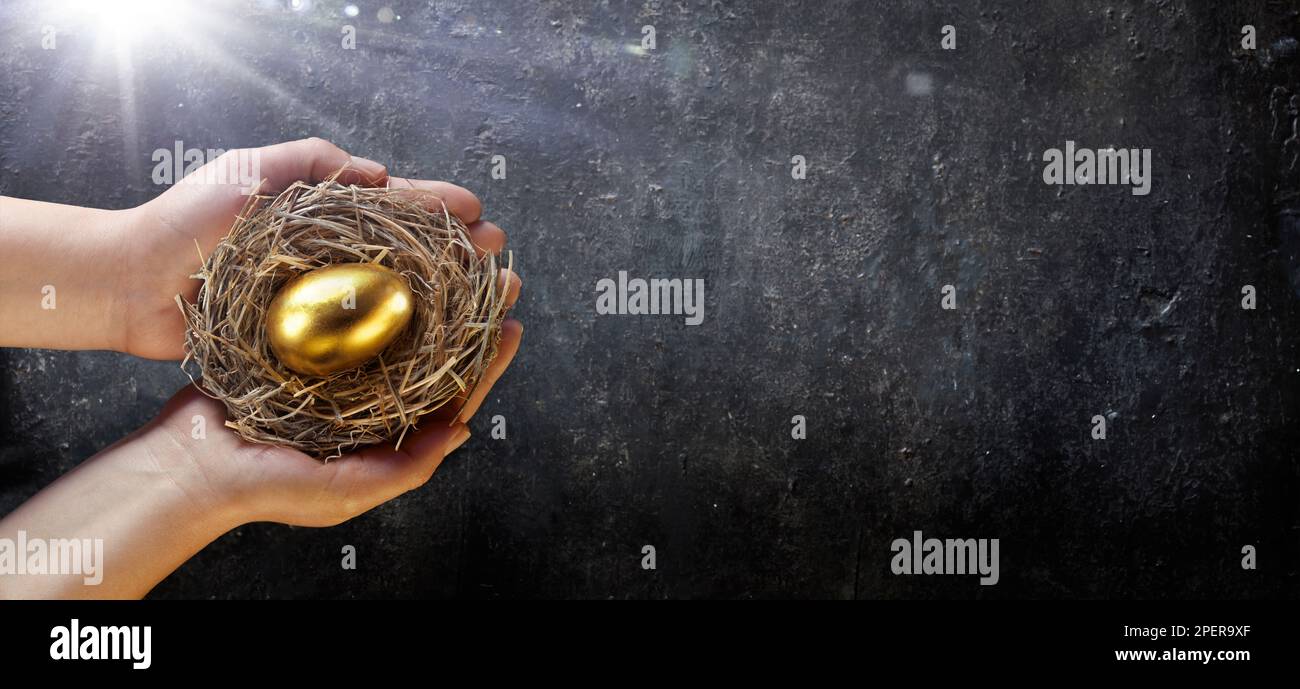 "Golden Egg In Hands" - Rentenwert - Anlagekonzept Stockfoto