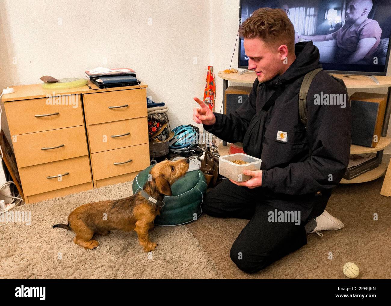 Der Besitzer sagt einem Hund, er soll auf eine Belohnung warten Stockfoto