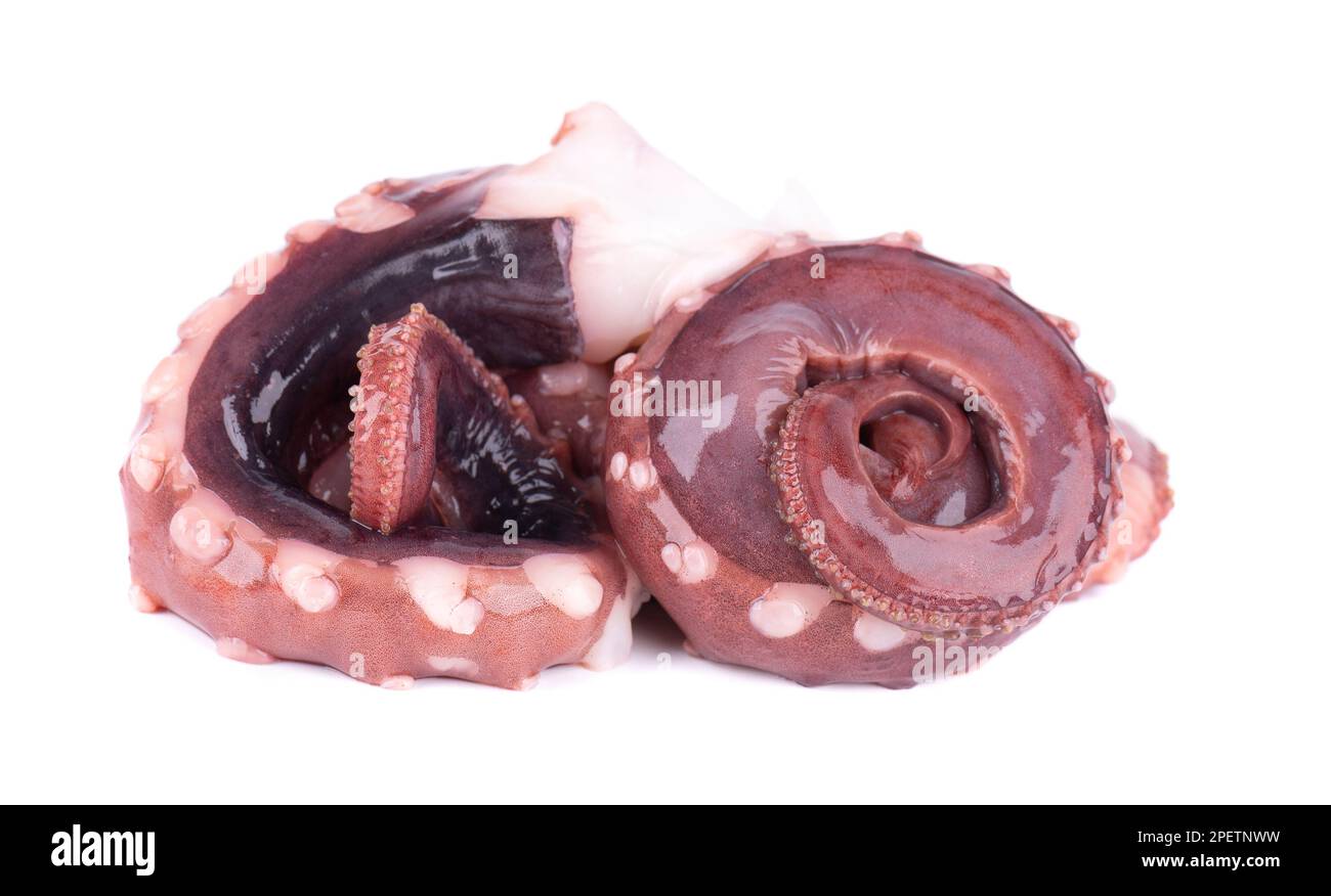 Tintenfischentakel isoliert auf weißem Hintergrund. Frischer roher Riesenkalmar Stockfoto