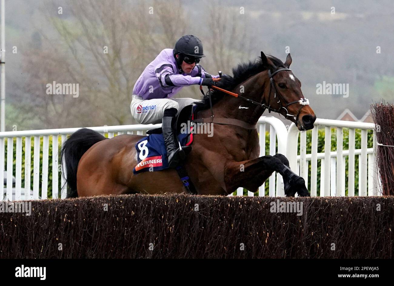 Stage Star geritten von Jockey Harry Cobden, auf dem Weg, die Turners Novice' Chase am dritten Tag des Cheltenham Festivals auf der Cheltenham Racecourse zu gewinnen. Foto: Donnerstag, 16. März 2023. Stockfoto