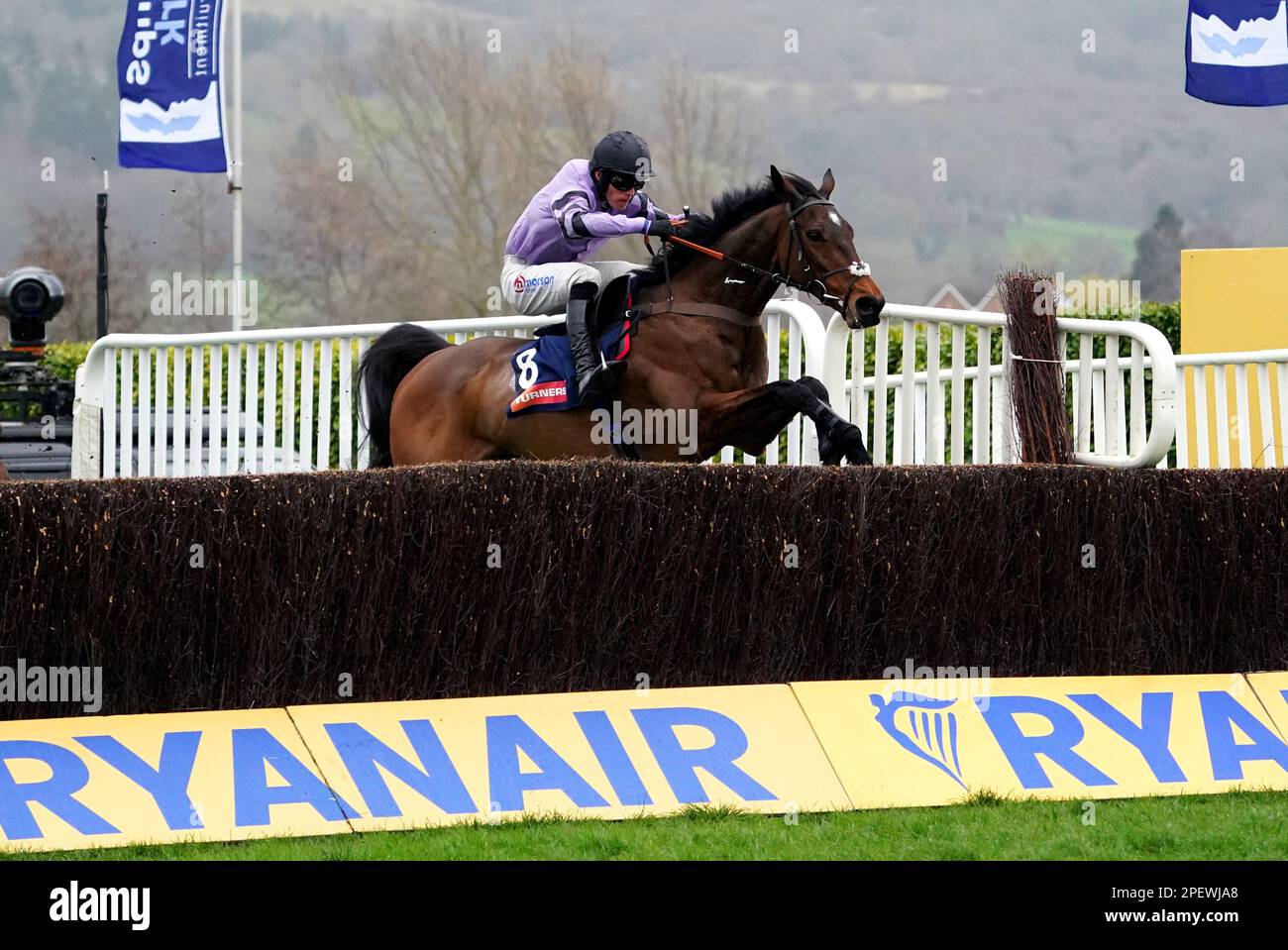 Stage Star geritten von Jockey Harry Cobden, auf dem Weg, die Turners Novice' Chase am dritten Tag des Cheltenham Festivals auf der Cheltenham Racecourse zu gewinnen. Foto: Donnerstag, 16. März 2023. Stockfoto