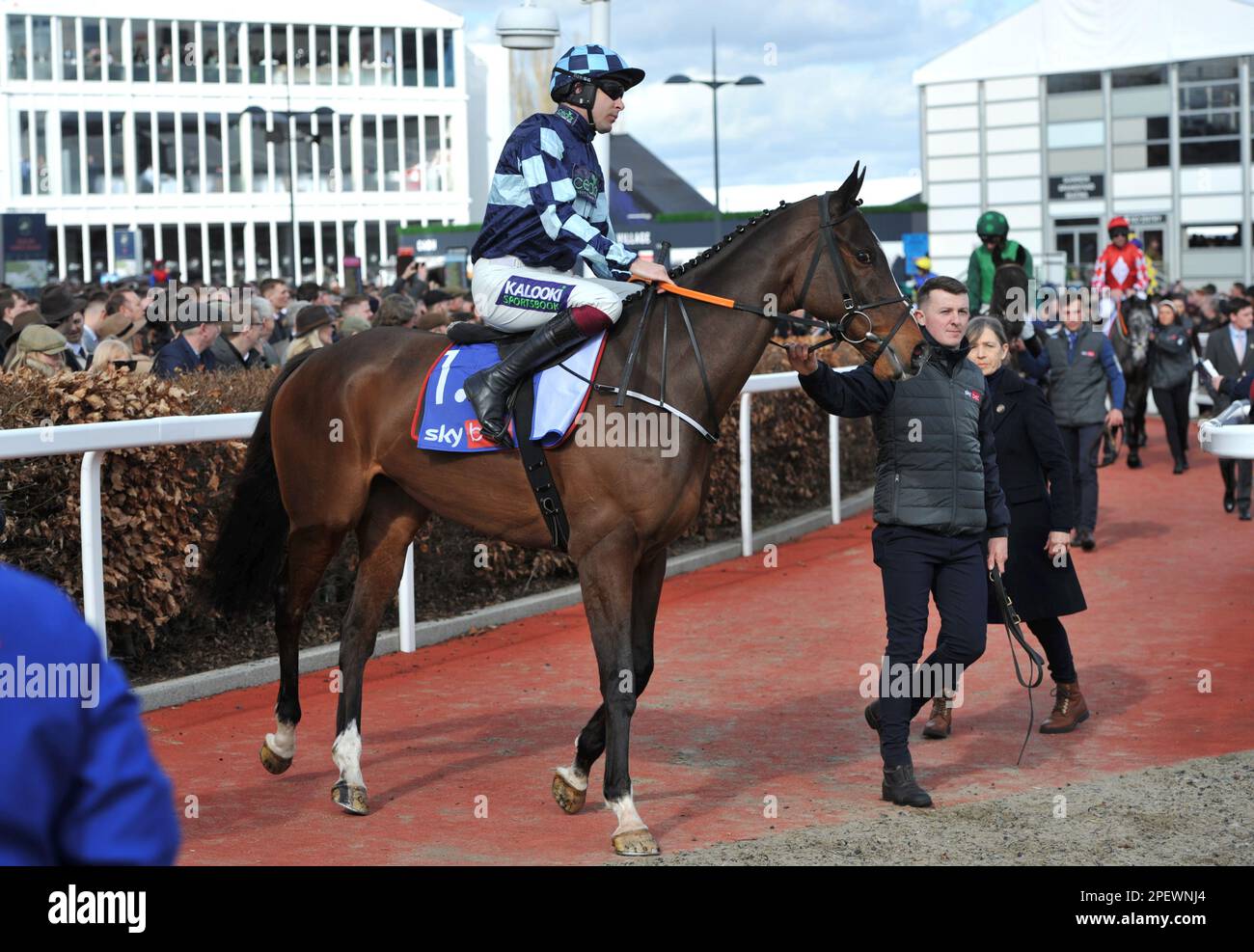 Race 1 Das Hürdenrennen Von Sky Bet Supreme Novice. Die Jagd nach Feuer, geritten von Aidan Coleman, begeben Sie sich vor dem Rennen auf den Platz. Rennen bei C Stockfoto