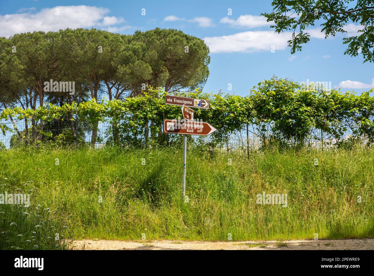 zeichen der historischen Route Via Francigena in der Landschaft von Fucecchio, Provinz Firenze, Toskana-Region in Mittelitalien - Europa Stockfoto