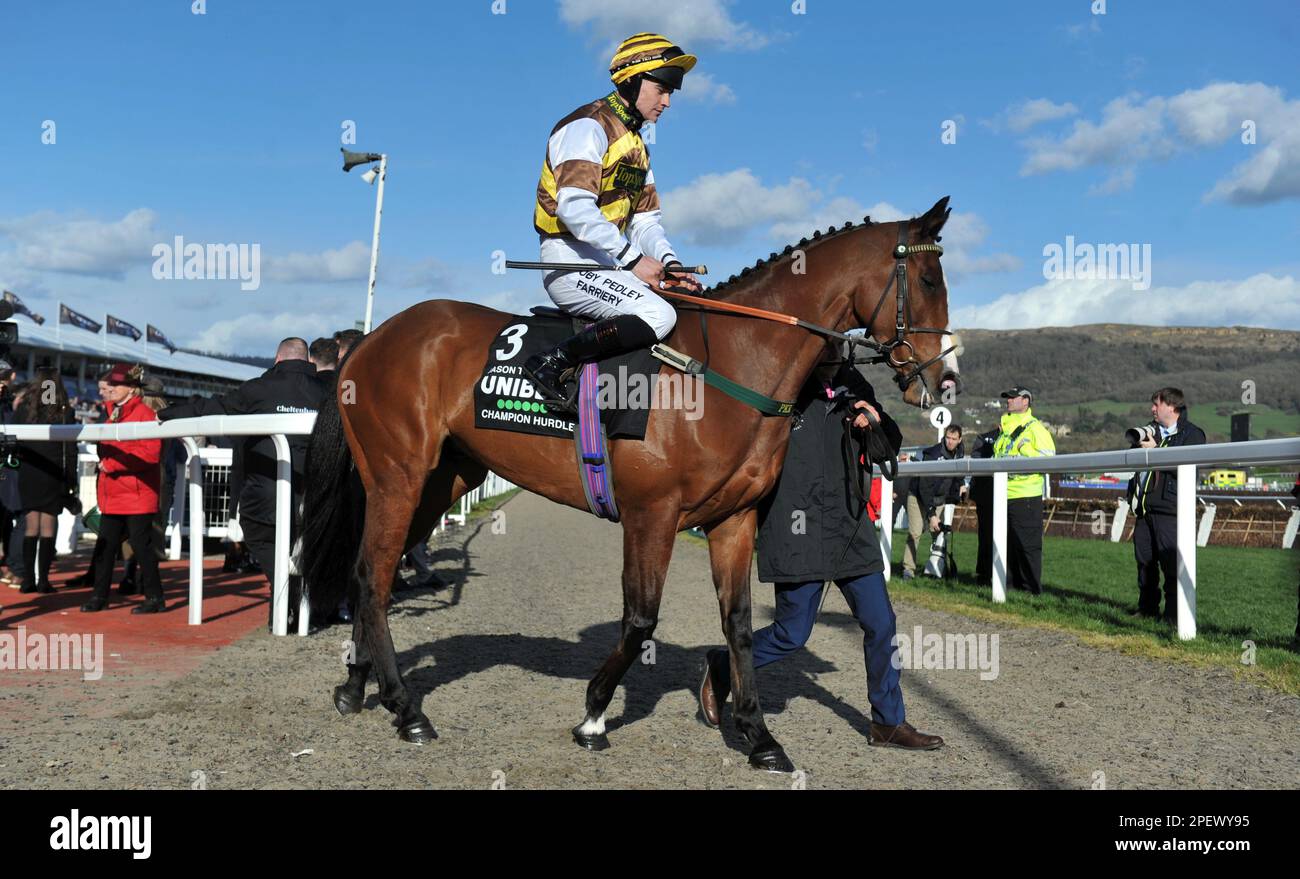 Rennen Sie Um 4 Uhr Die Unibet Champion Hürde. Jason, der militante Reiter von Joe Williamson, auf dem Weg zum Golfplatz vor dem Rennen in Cheltenham R. Stockfoto