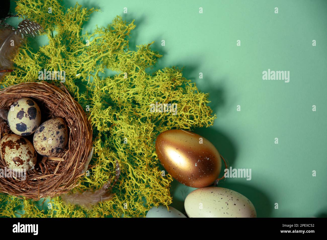 Wachteleier in einem Nest auf natürlichem Moos, Pussy Willow und dekorativen, bemalten Eiern. Osterfeier, stilvolles Foto auf grünem Hintergrund. Platz für Te Stockfoto