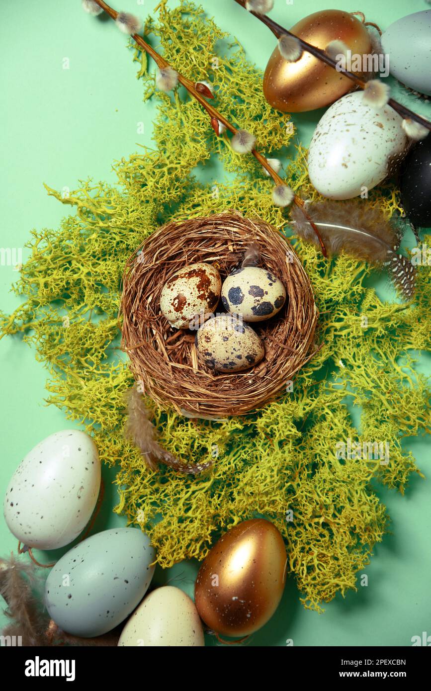 Wachteleier in einem Nest auf natürlichem Moos, Pussy Willow und dekorativen, bemalten Eiern. Osterfeier, stilvolles Foto auf grünem Hintergrund. Postkarte Stockfoto
