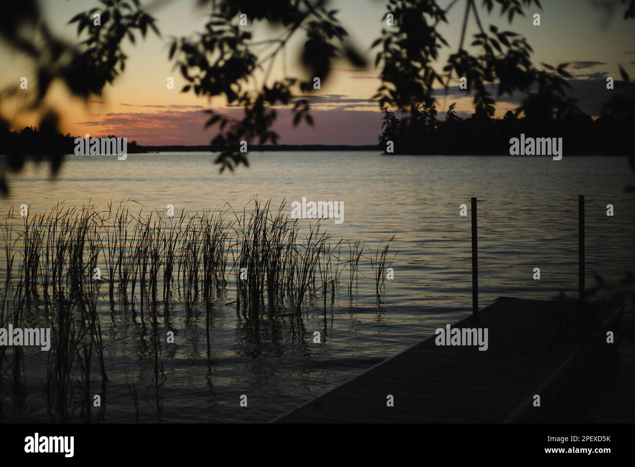 Ein atemberaubender Blick auf einen ruhigen See mit Schilf während eines atemberaubenden Sonnenuntergangs Stockfoto