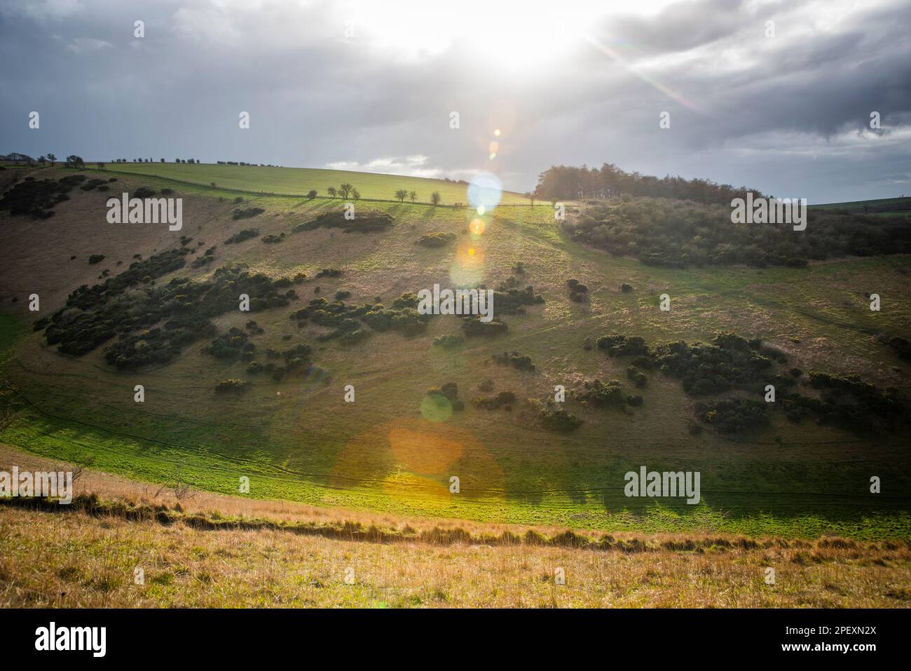 Ein Abschnitt des Yorkshire Wolds Way National Trail zwischen Millington Woods und Huggate in East Yorkshire, Großbritannien Stockfoto