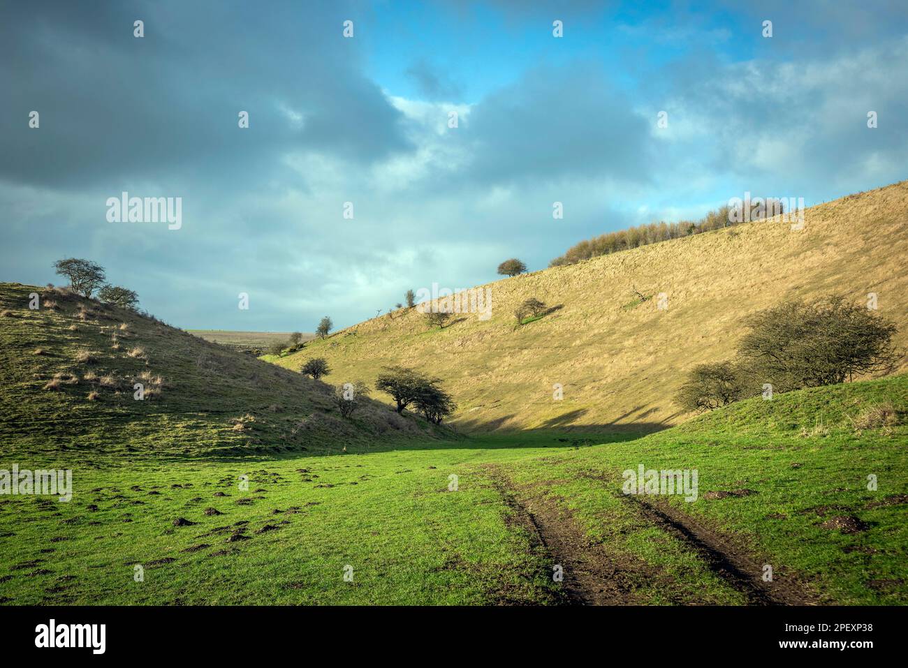 Ein typisches Yorkshire Wolds trockenes Kreidetal nahe Huggate, East Yorkshire Stockfoto