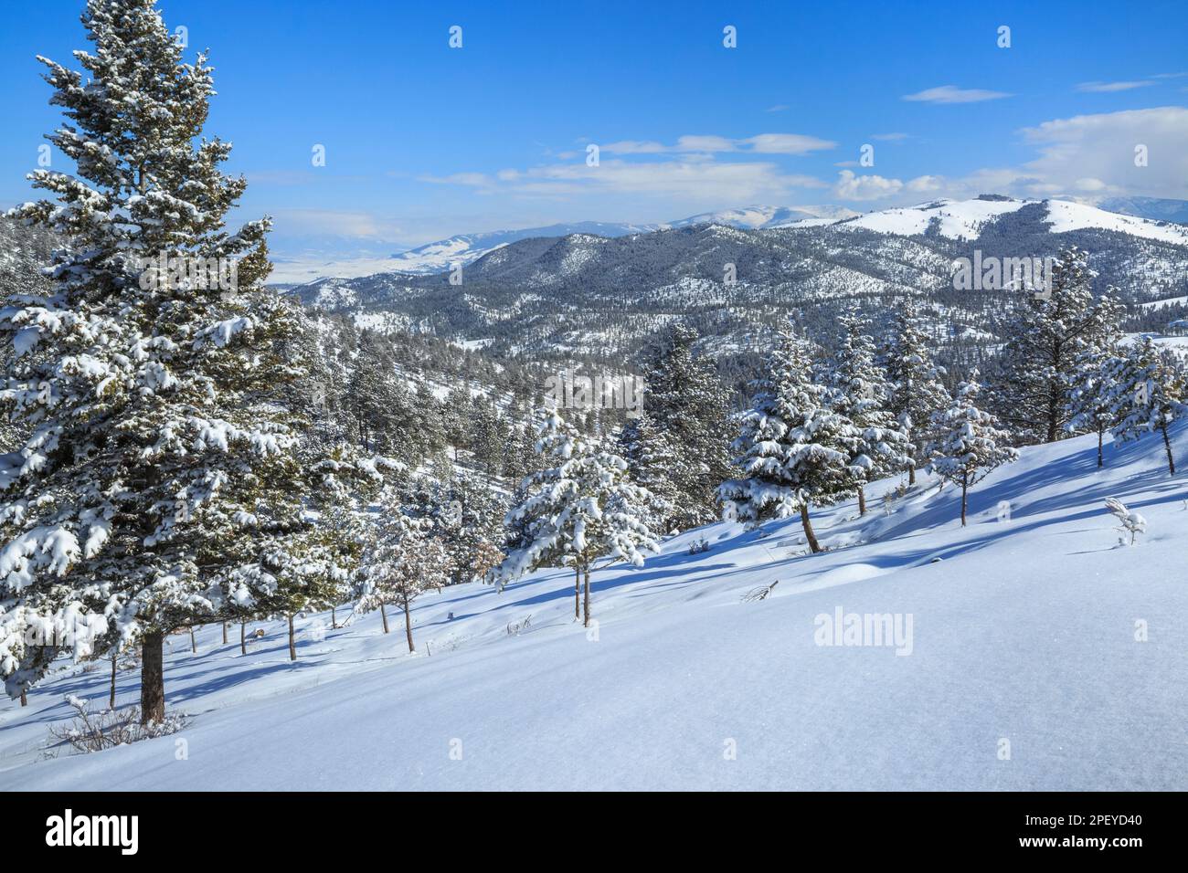 Der Aufstieg auf den Berg im Winter kann von den Ausläufern des helena National Forest bei helena, montana, aus gesehen werden Stockfoto