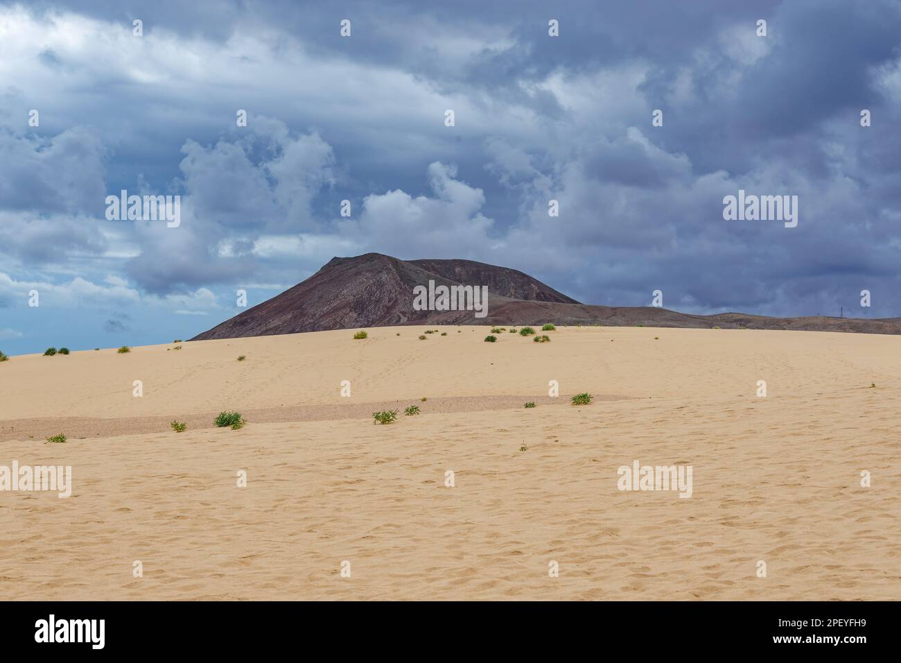Sanddünen im Parque Natural de Corralejo auf der Insel Fuerteventura auf den Kanarischen Inseln Stockfoto