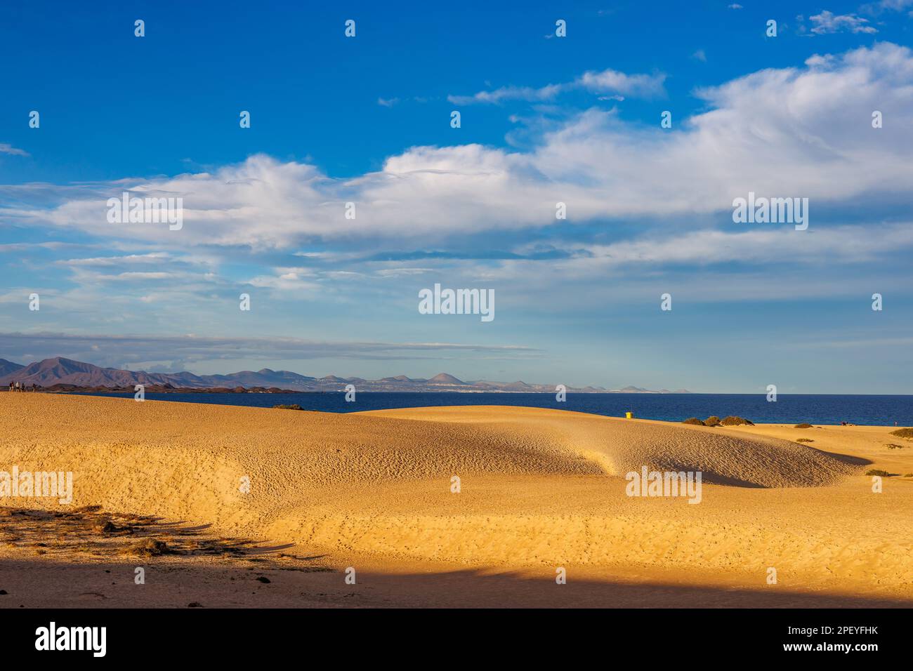 Sanddünen im Parque Natural de Corralejo auf der Insel Fuerteventura auf den Kanarischen Inseln Stockfoto