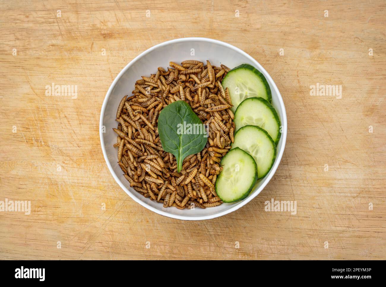 Mehlwürmer mit Gemüse in einer Schüssel, essbare Insekten als Alternative, eiweißreiche Ernährung Stockfoto