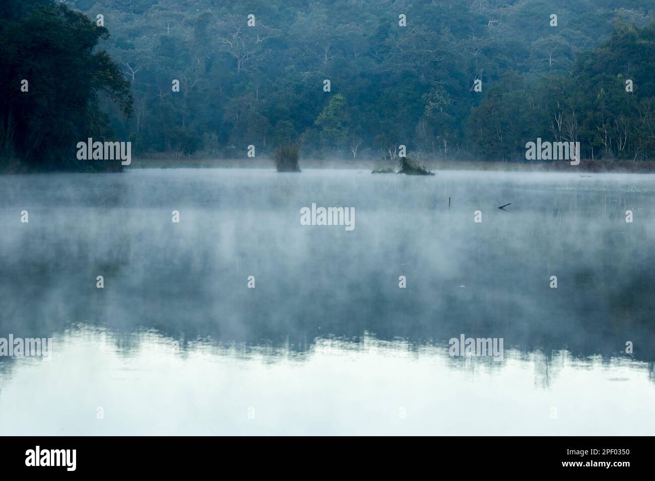 Eine neblige Landschaft, die von der Wasseroberfläche schwebt Stockfoto