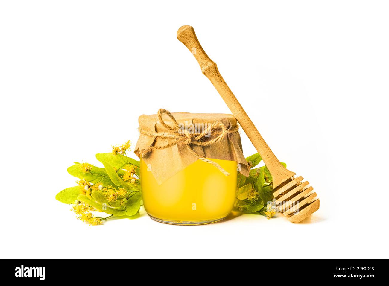 Isolierte Honigbiene in Glasgefäß mit Honigstiel auf weißem Hintergrund, Bienenprodukte. Gesundes Bio-Food-Konzept. Stockfoto